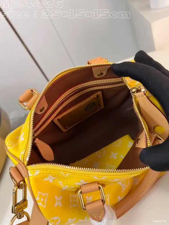 Louis Vuitton SPEEDY 25 0613